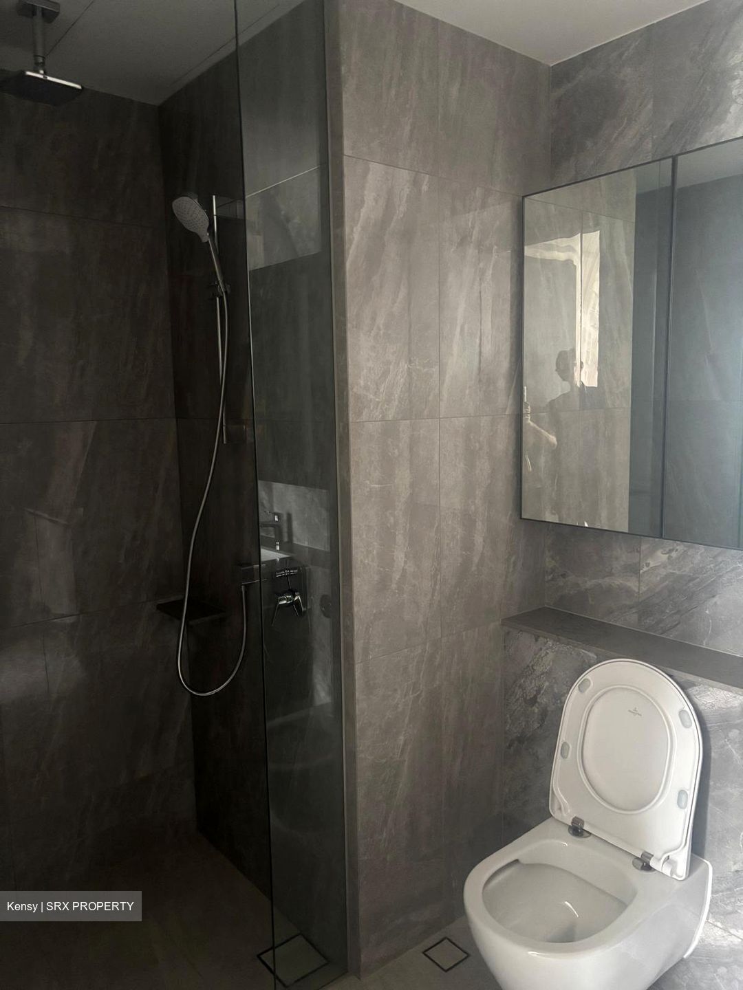 Piccadilly Grand (D8), Apartment #499420751